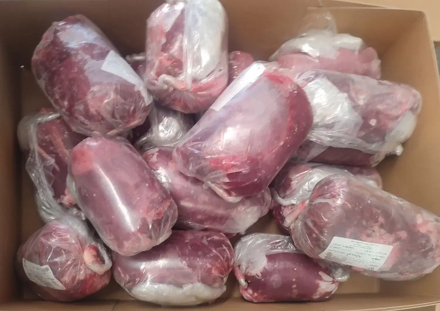 گوشت گوساله|عمدهفروشی|ماهدشت, |دیوار