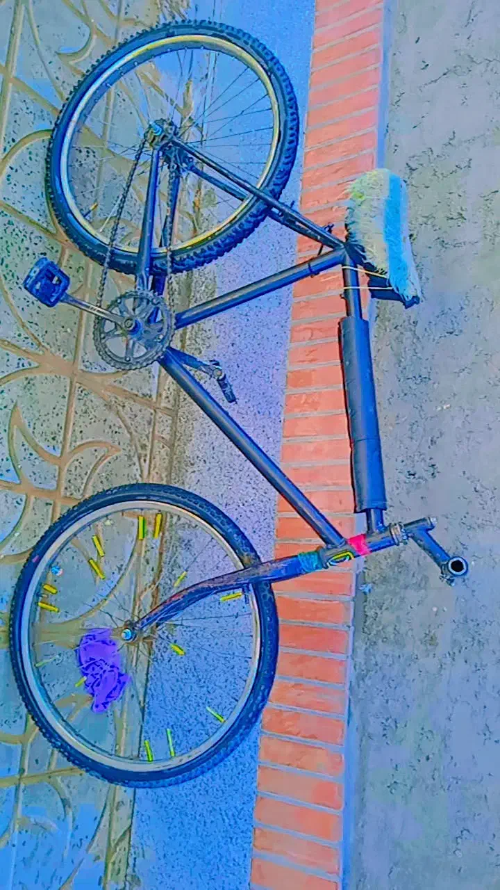 دوچرخه|دوچرخه، اسکیت، اسکوتر|اسدآباد, |دیوار