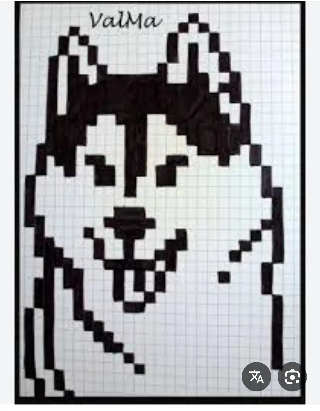 سگ گم شده|حیوانات|زرند, |دیوار