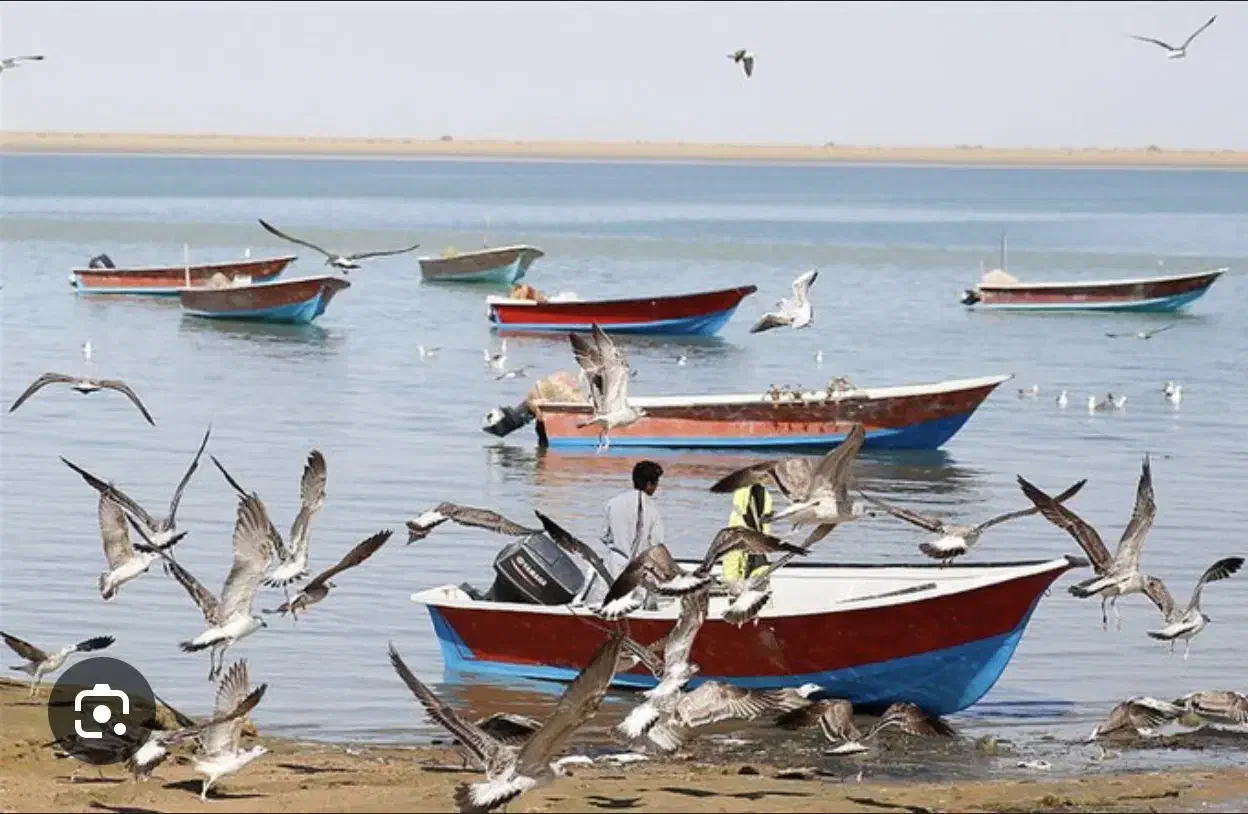 فروش گول یا مجوز صیادی پنج نفره|قایق و سایر وسایل نقلیه|بندر ماهشهر, |دیوار