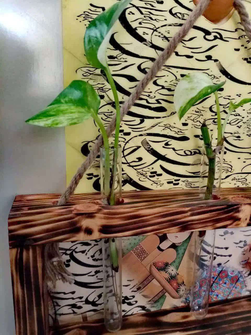 گلجا سایز بزرگ|گل و گیاه طبیعی|مشهد, احمدآباد|دیوار