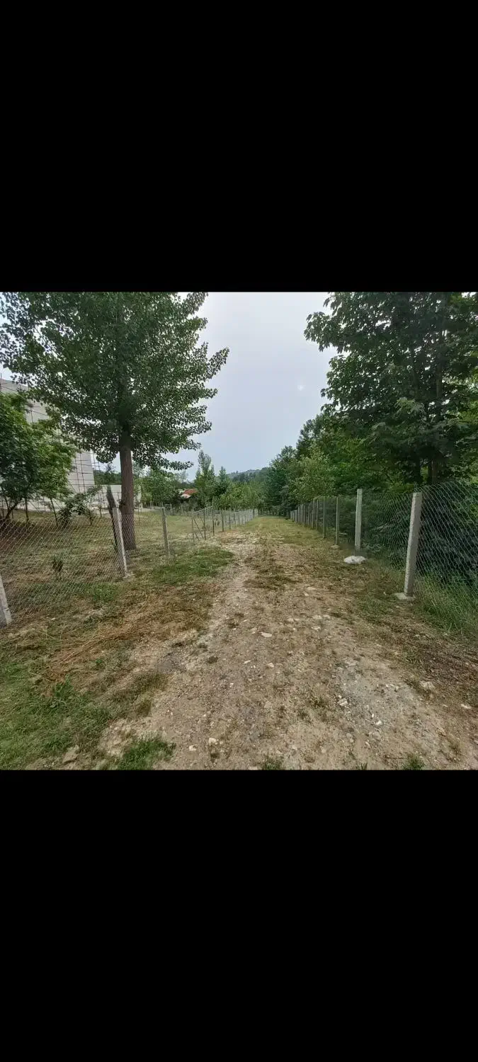 علف زنی|خدمات باغبانی و درختکاری|لاهیجان, شهرک سلمان فارسی|دیوار