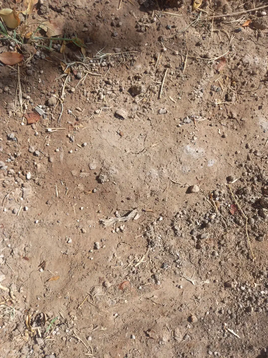 زمین تجاری۸۰متر|فروش زمین و ملک کلنگی|زرند, |دیوار