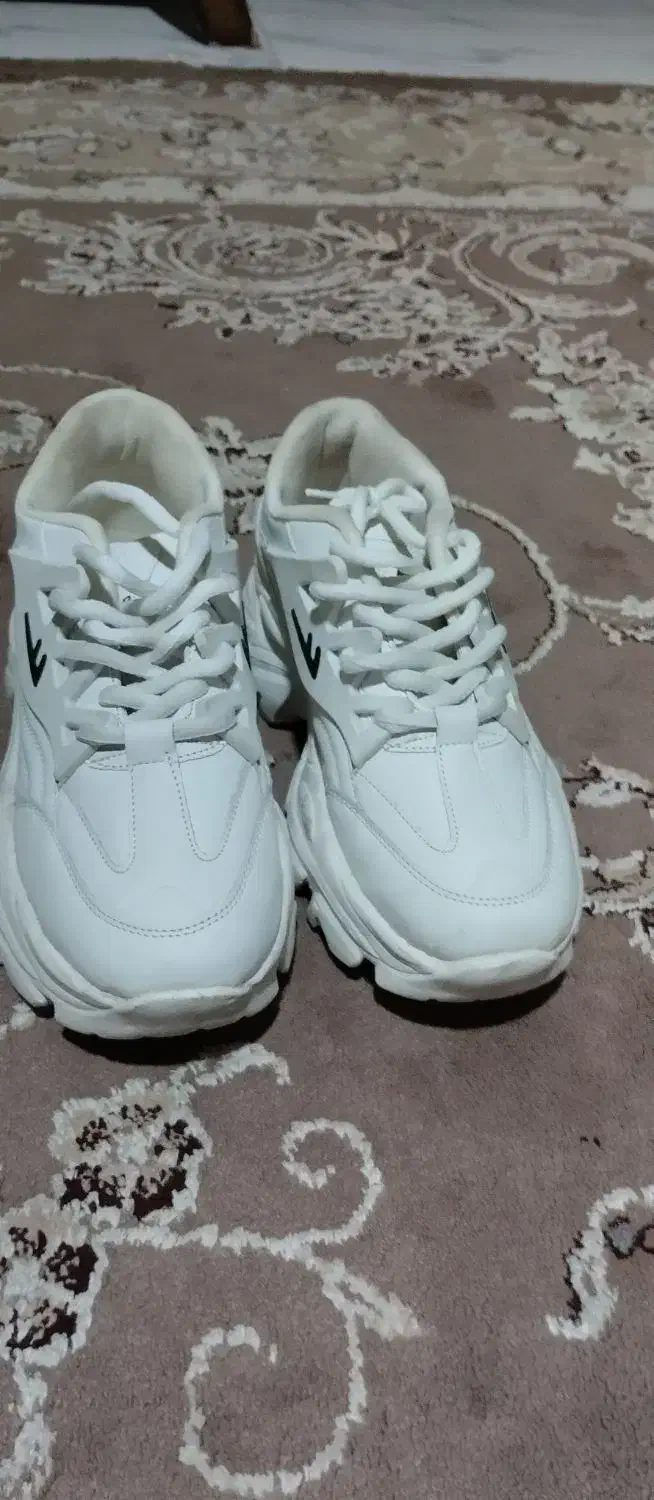 کفش|کیف، کفش، کمربند|فریدون‌کنار, |دیوار