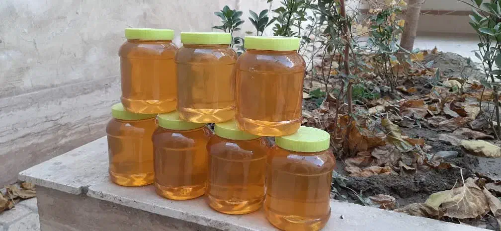 عسل|خوردنی و آشامیدنی|مشهد, الهیه|دیوار