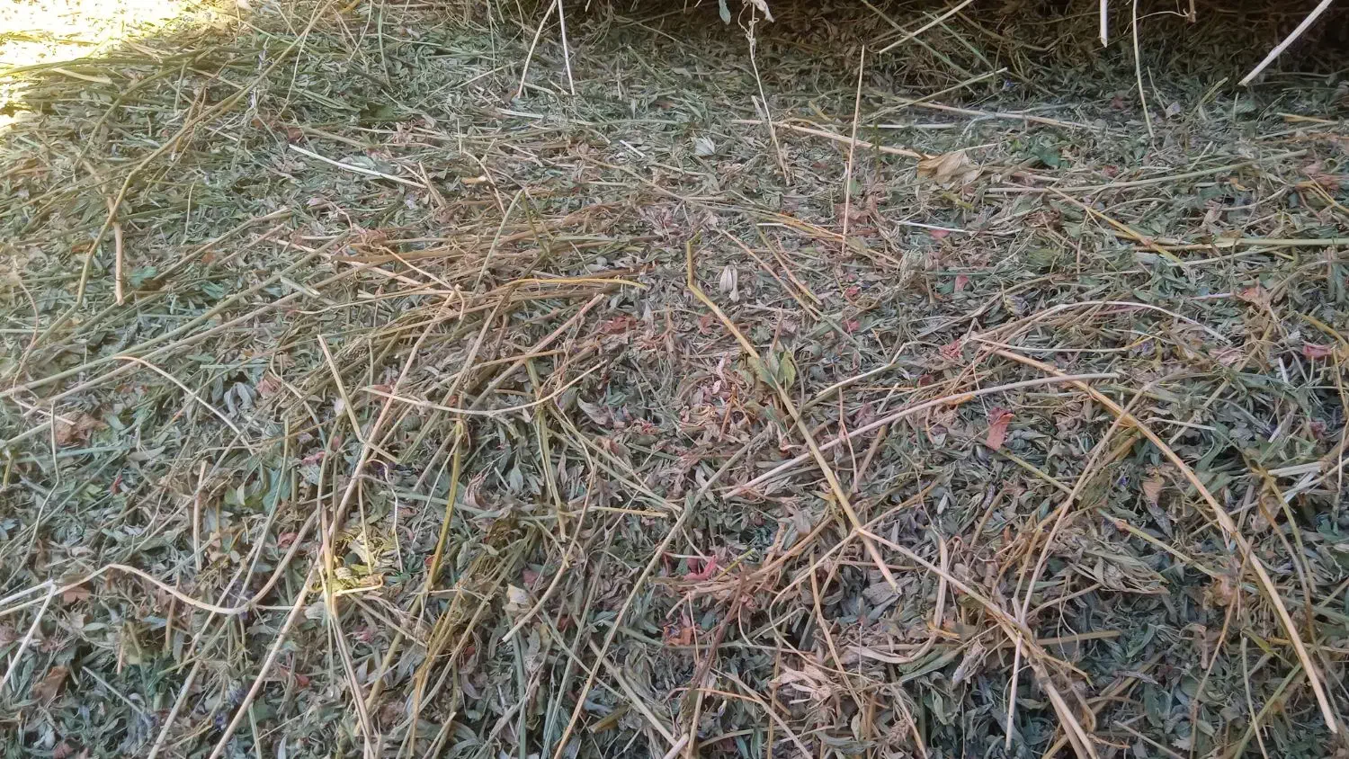 فروش یونجه|لوازم جانبی حیوانات|هریس, |دیوار