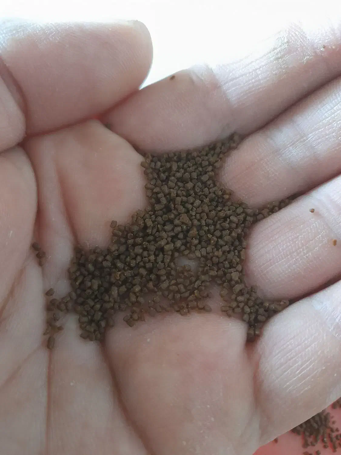 بیومار|ماهی|ورامین, ورامین|دیوار