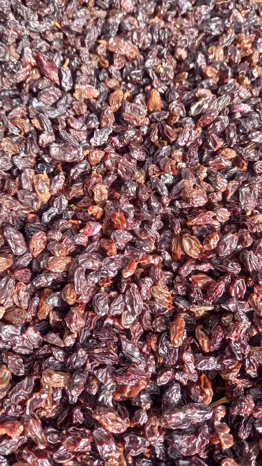 کشمش پلویی درجه یک|خوردنی و آشامیدنی|زرنه, |دیوار