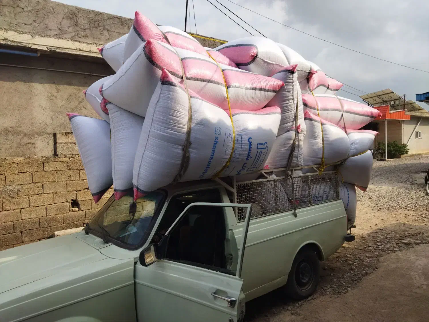 الیاف شمس ویسکوز توپی وساده|رختخواب، بالش، پتو|آق قلا, |دیوار