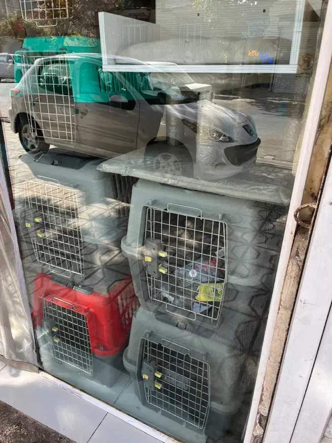 باکس پت همه سایز و برند پت شاپ مشهد|لوازم جانبی حیوانات|مشهد, گلبرگ|دیوار