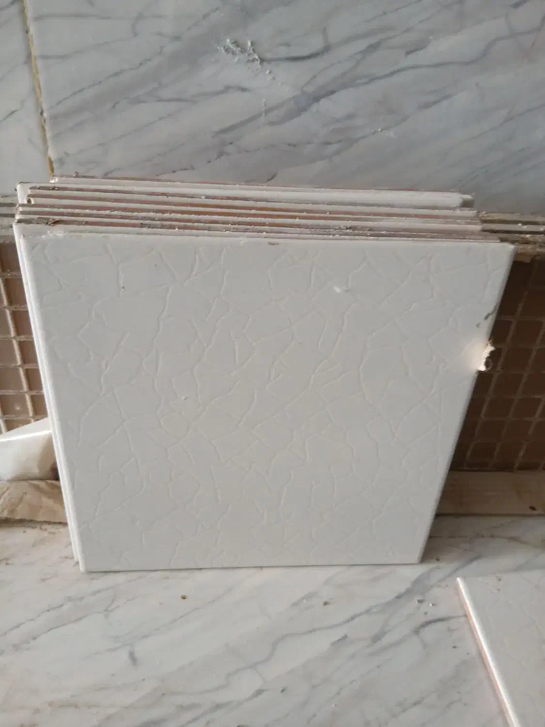 کاشی سرامیک|مصالح و تجهیزات ساختمان|باوی, |دیوار