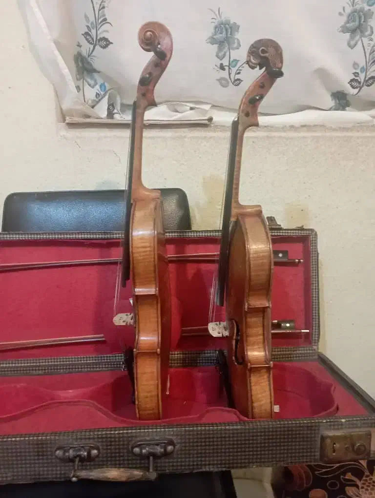 ویولن فروشی|ویولن|اصفهان, ملک‌شهر|دیوار