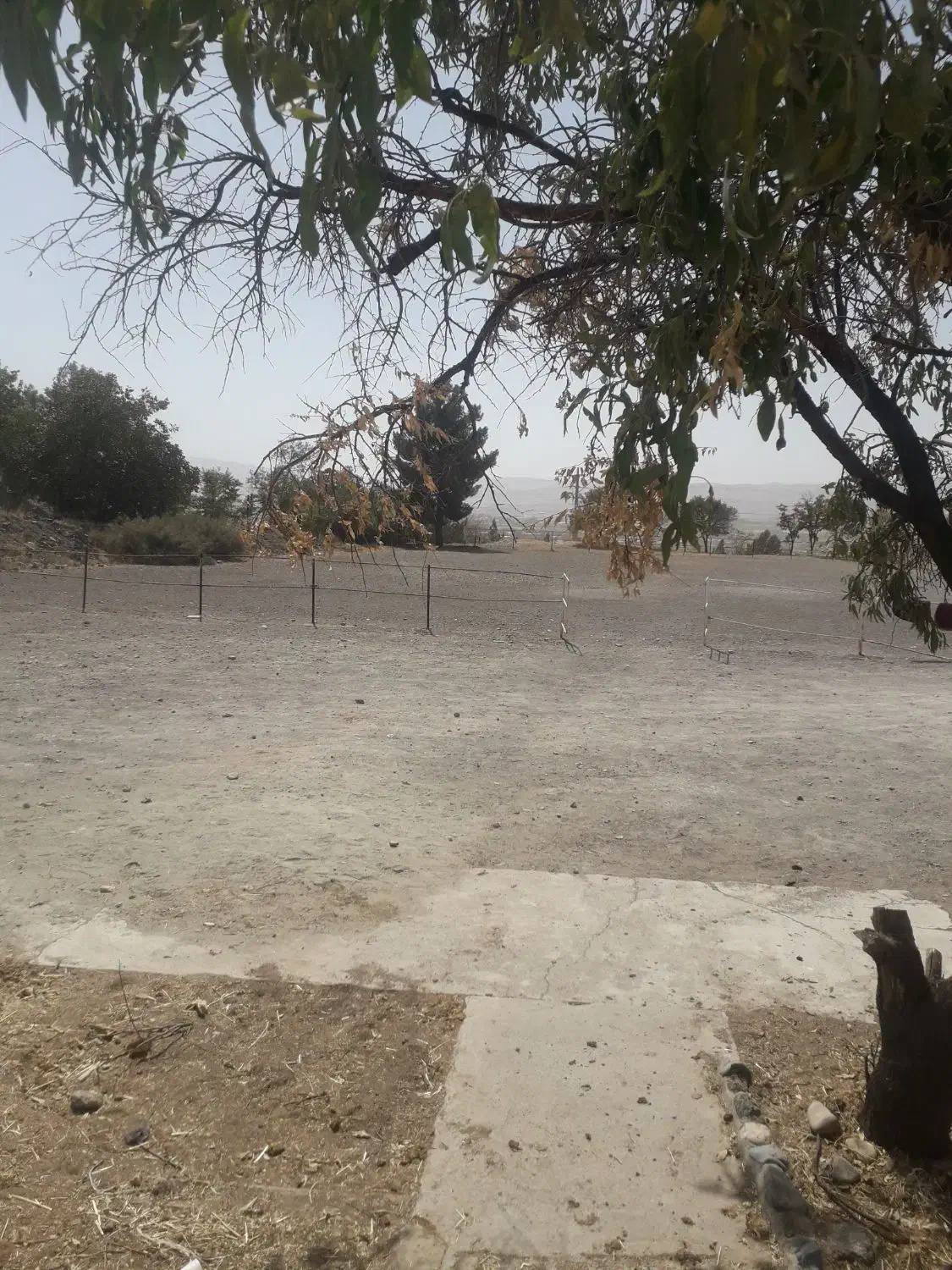 پانسیون اسب|اسب و تجهیزات اسبسواری|کرمانشاه, |دیوار