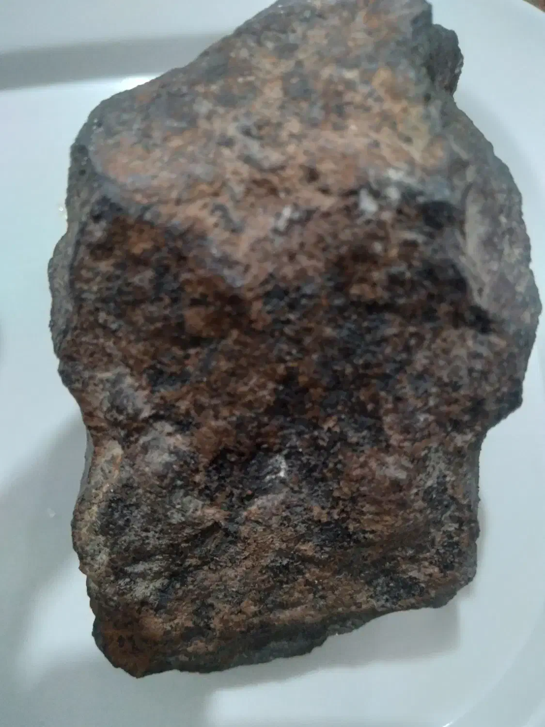 شهاب سنگ|کلکسیون اشیاء عتیقه|داراب, |دیوار