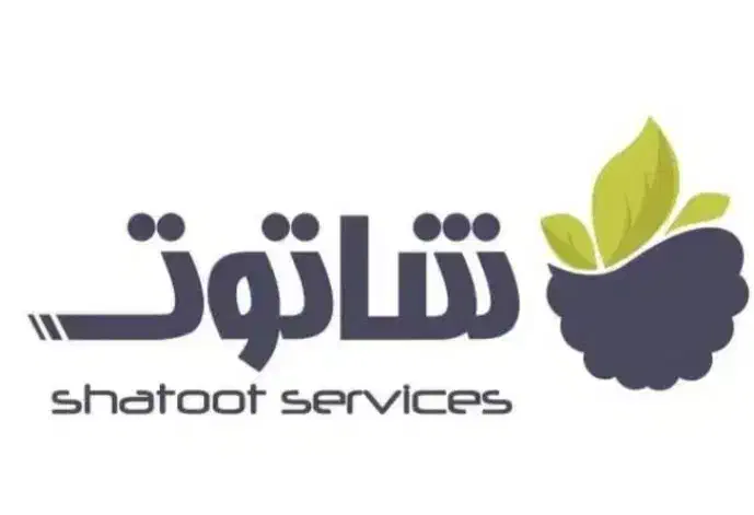 همکاری با حسابداران و مدیران مالی مشغول به کار|استخدام مالی، حسابداری، حقوقی|کرمان, |دیوار