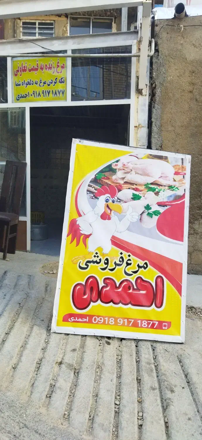مرغ به نرخ تعاونی|عمده‌فروشی|جوانرود, |دیوار