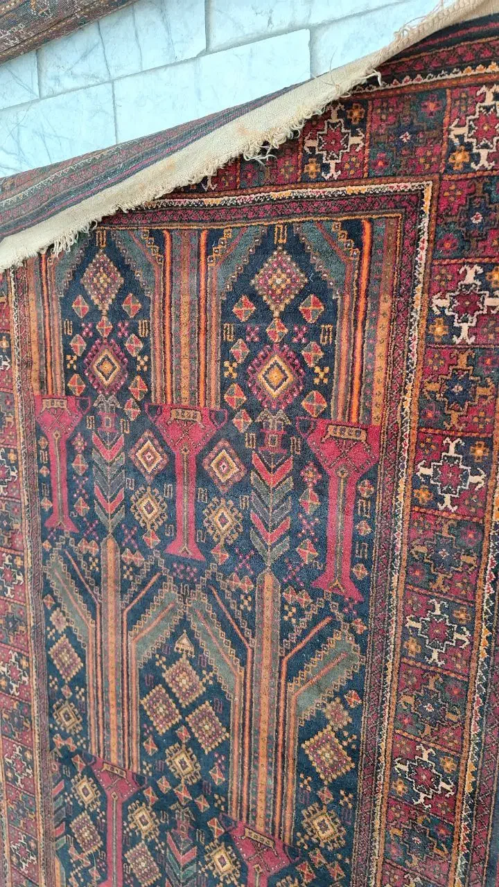 فرس دستباف سیستان|فرش|زاهدان, |دیوار