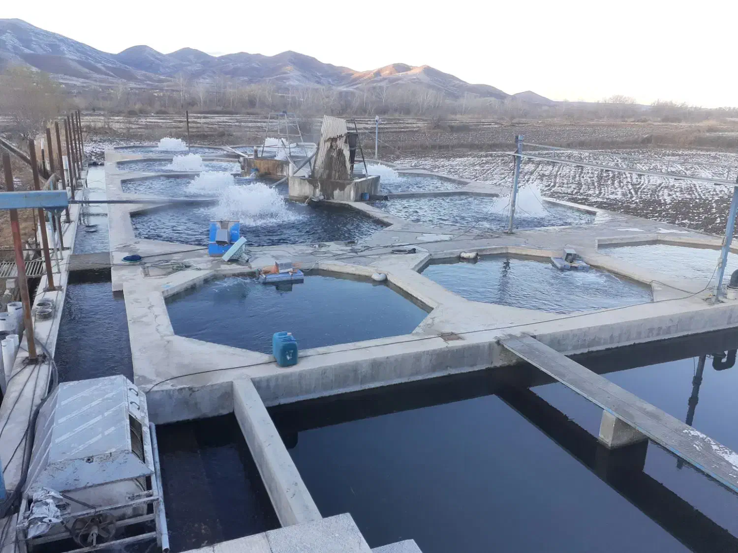 کارگر جهت کار در پرورش ماهی قزل آلا|استخدام صنعتی، فنی، مهندسی|منجوان, |دیوار