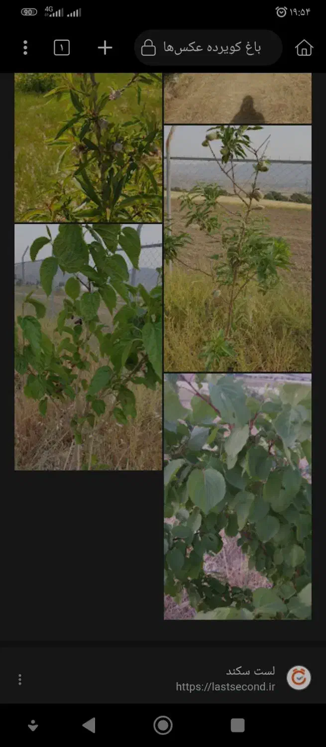 فروش زمین باغ|فروش زمین و ملک کلنگی|گچی, |دیوار