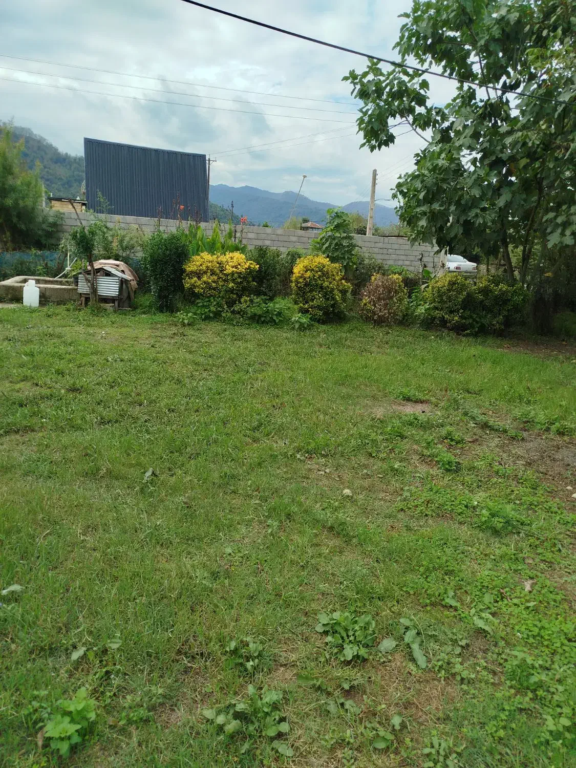 650متر زمین 100بنا تک برگ سند پای کوه شاندرمن|فروش خانه و ویلا|ماسال, |دیوار