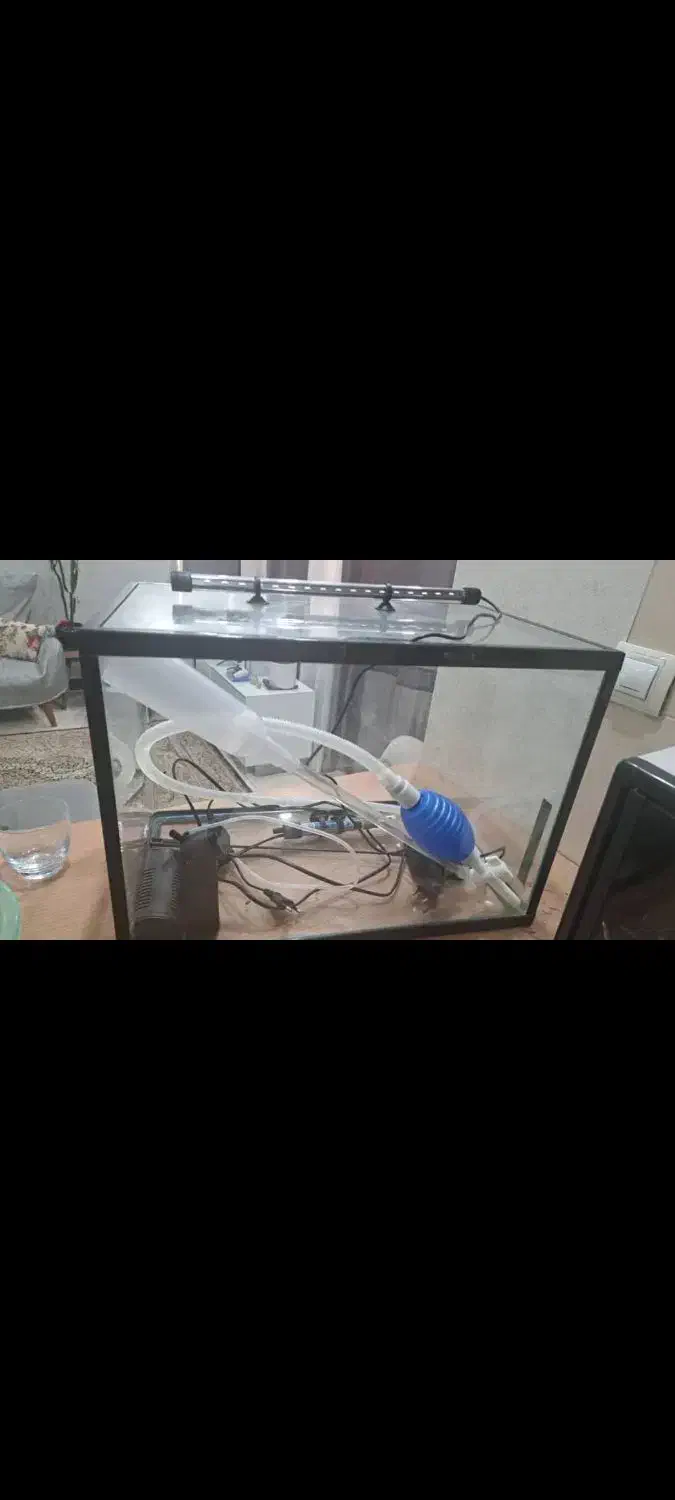 آکواریوم با تمام لوازم برای راه|لوازم جانبی حیوانات|تهران, آزادشهر|دیوار