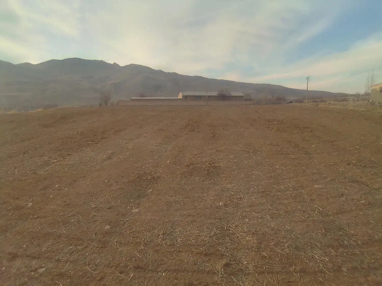 اجاره زمین کشاورزی دیم 5 هکتار کمباین گیر|اجارهٔ دفتر صنعتی، کشاورزی، تجاری|شاهین دژ, |دیوار