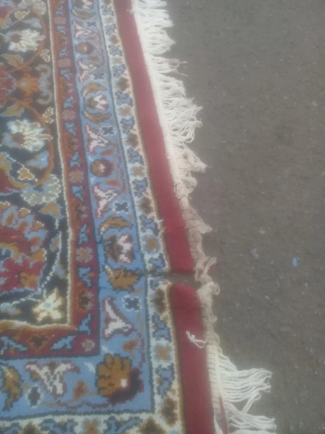 فرش کهنه برا باغ|فرش|ارومیه, |دیوار