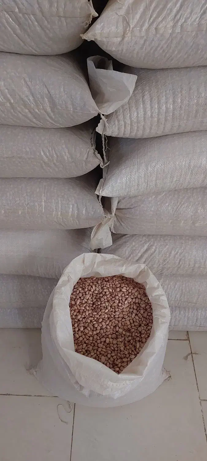 فروش لوبیا چیتی وسفید|خوردنی و آشامیدنی|تهران, دانشگاه شریف|دیوار