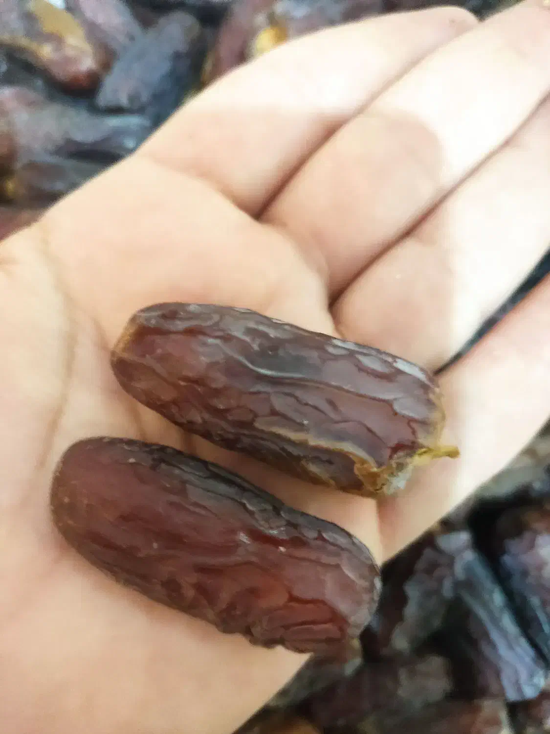 خرما پیارم لوکس درجه یک.|حراج|داراب, |دیوار