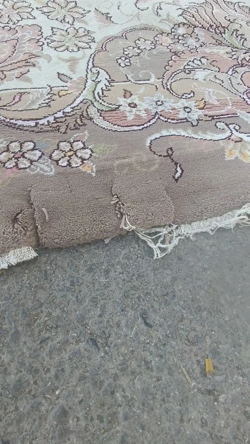 فرش ۱۲متری کارکرده فرش ۶متری|فرش|رضویه, |دیوار