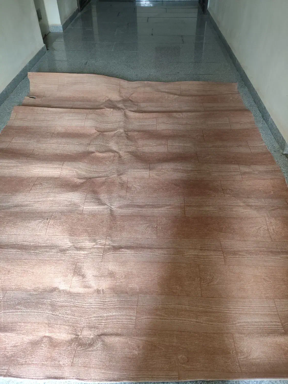 موکت|موکت|پرند, فاز ۶|دیوار