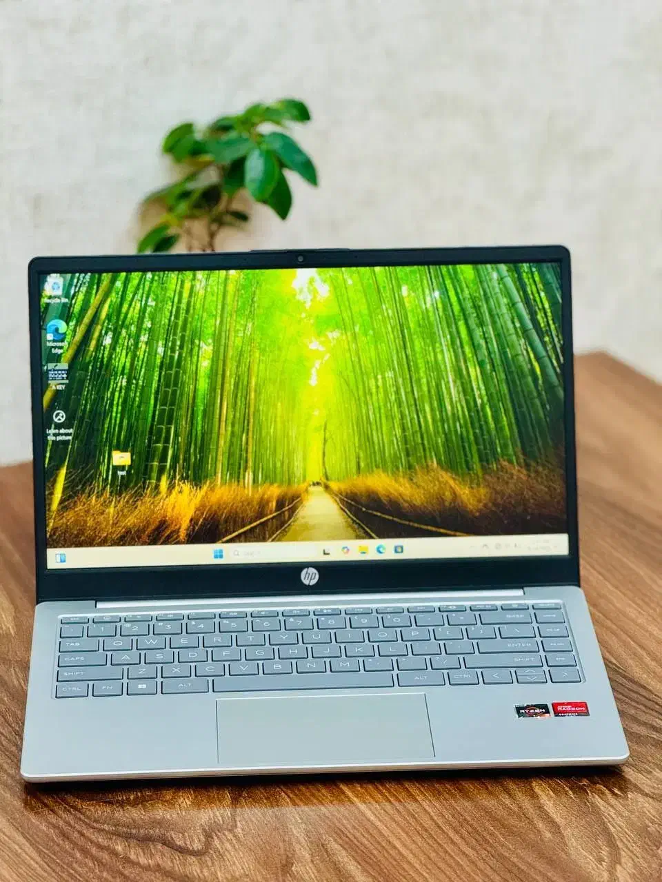 لپ تاپ اوپن باکس HP|رایانه همراه|الشتر, |دیوار