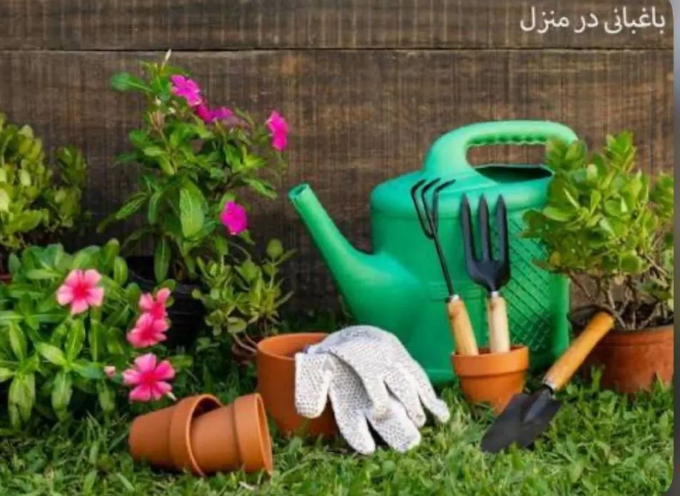 خدمات باغبانی و فضای سبز ،مشاوره با دکترا کشاورزی|خدمات باغبانی و درختکاری|اصفهان, برازنده|دیوار