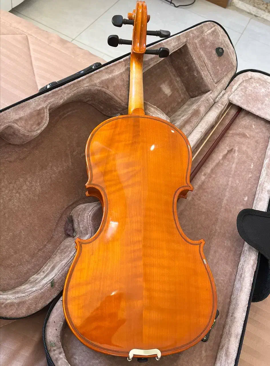 ویولن Student Model با کاور|ویولن|الوند, |دیوار