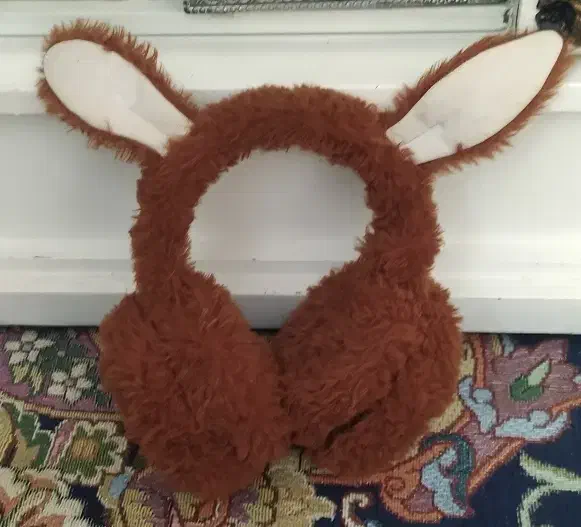 گوش گیر خرگوشی|لباس|خرم‌آباد, |دیوار