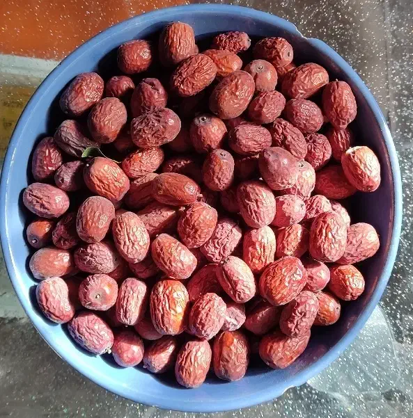 عناب تازه درجه یک|خوردنی و آشامیدنی|فولادشهر, B2|دیوار