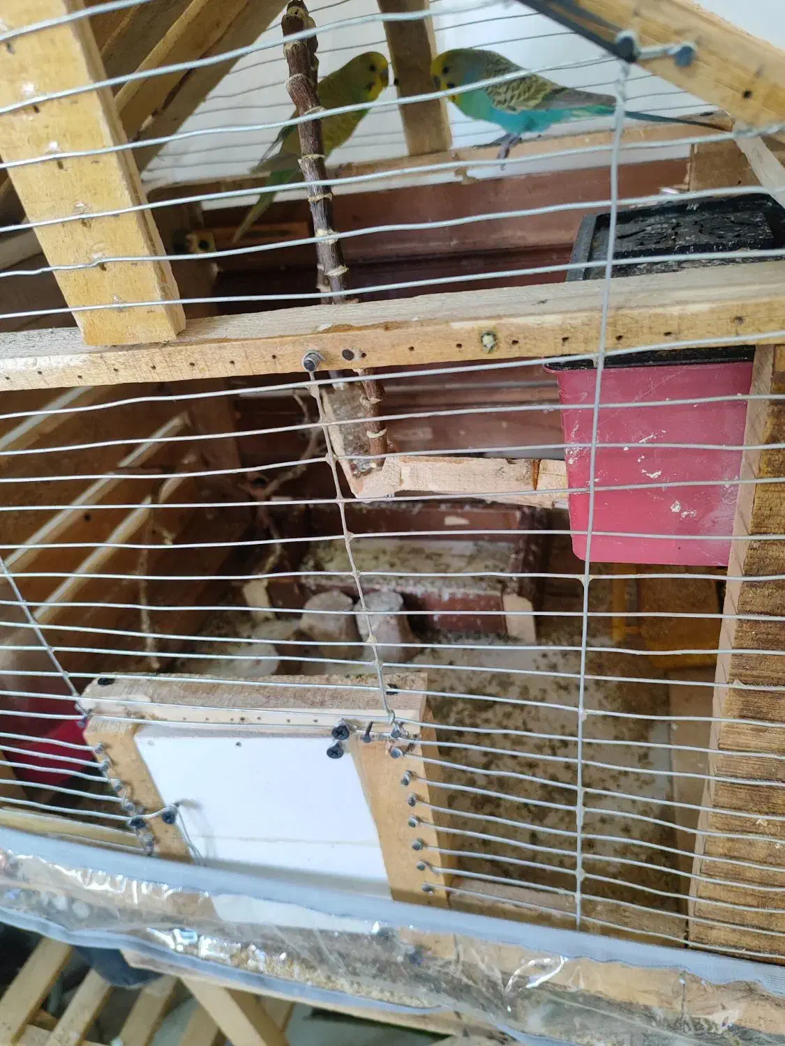 قفس پرنده|لوازم جانبی حیوانات|تربتحیدریه, بهشت عسکری|دیوار