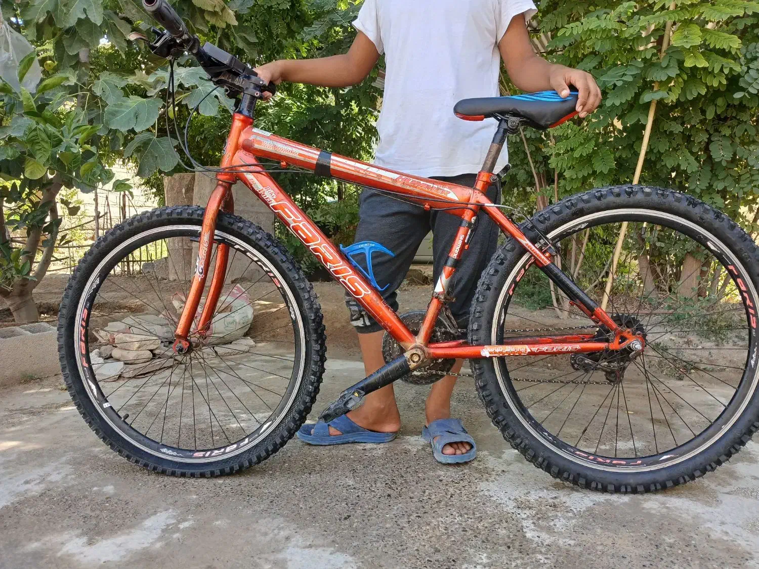 دوچرخه ۲۶ ویوا|دوچرخه، اسکیت، اسکوتر|گنبد کاووس, |دیوار