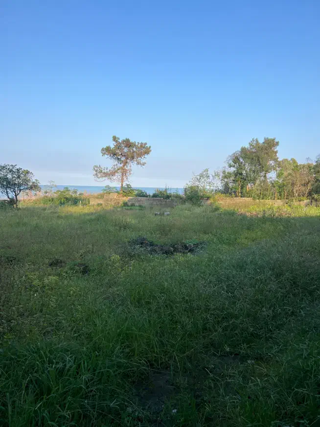 فروش ۲۵۰۰متر زمین ساحلی(جاده به ساحل)|فروش زمین و ملک کلنگی|نشتارود, |دیوار