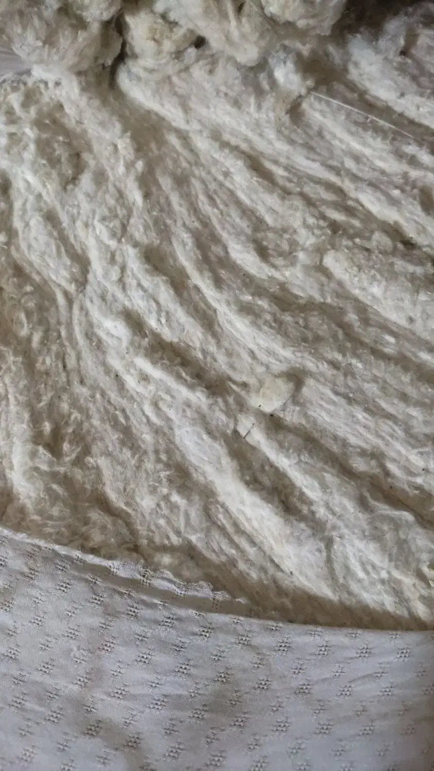 پنبه کرم رنگ|ماشین‌آلات صنعتی|بندر گز, |دیوار