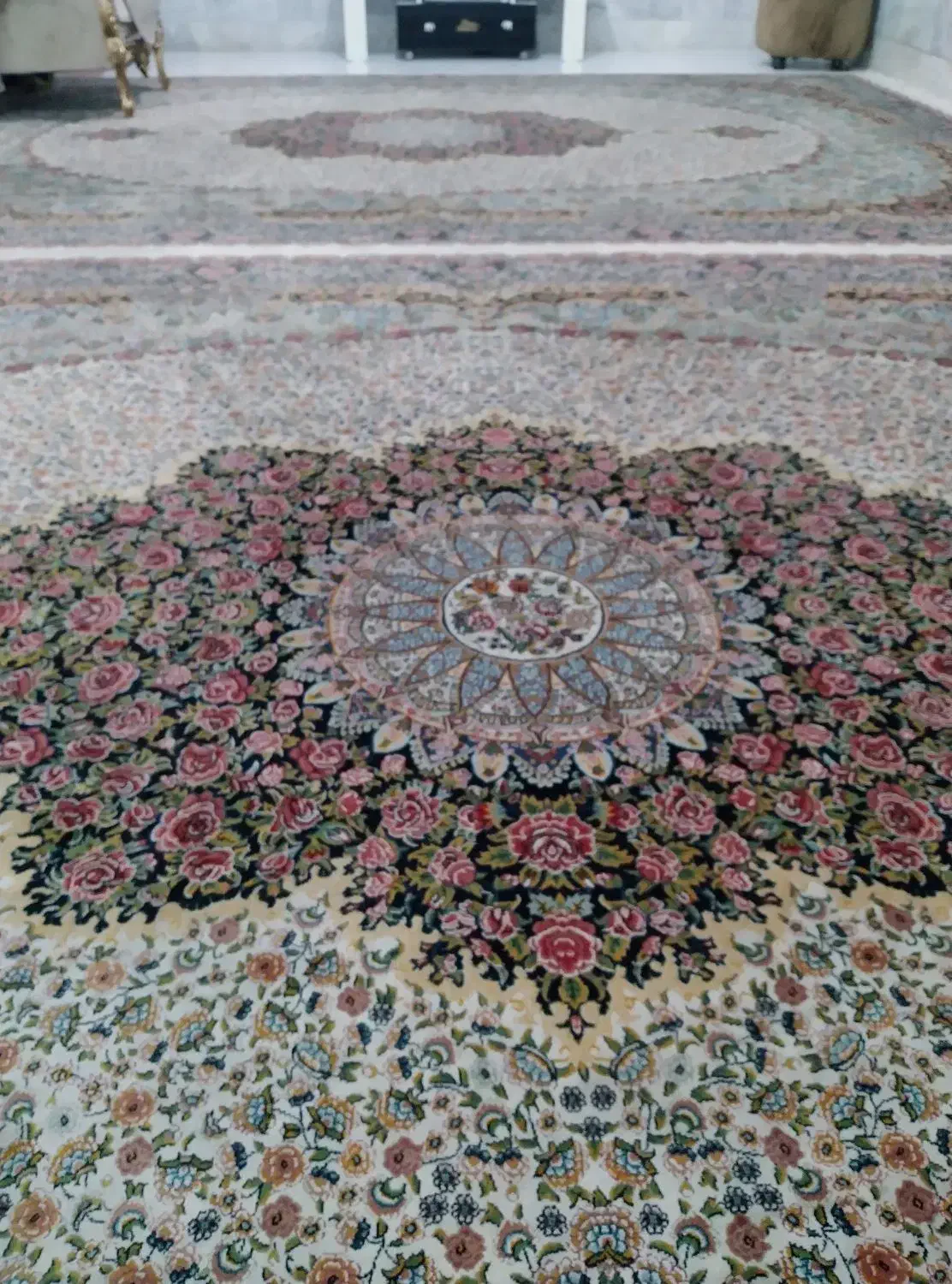 فرش ۷۰۰شانه اعلا|فرش|نیشابور, شهرک ولیعصر|دیوار