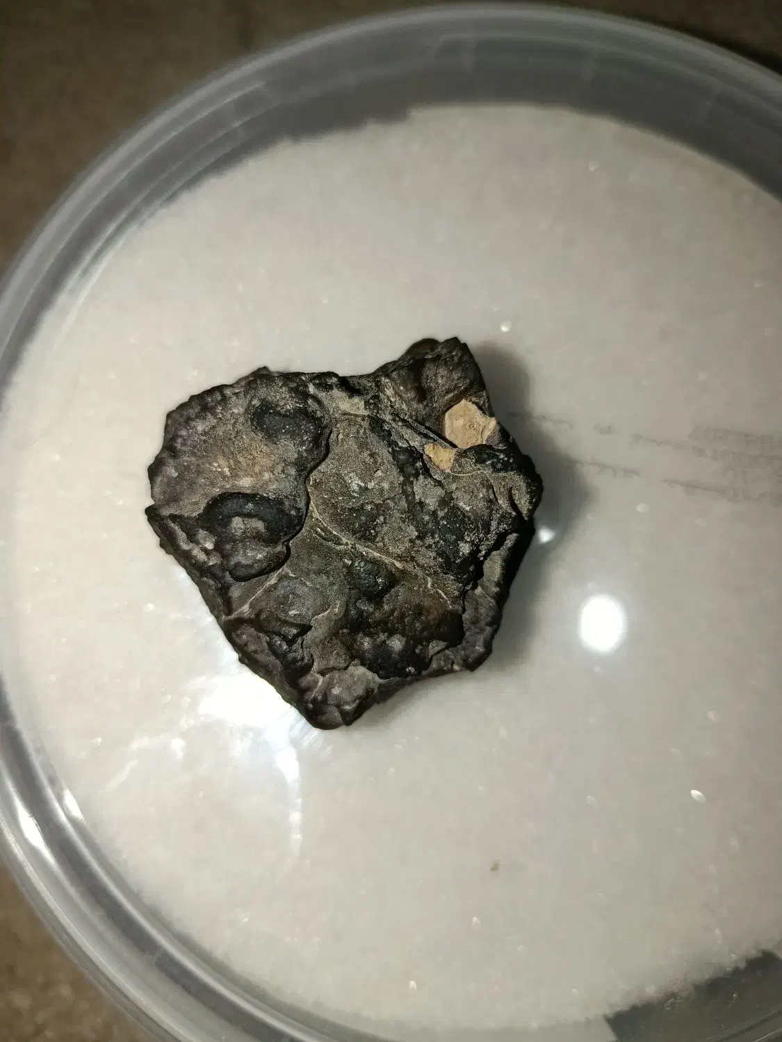 شهاب سنگ|جواهرات|سجاس رود, |دیوار