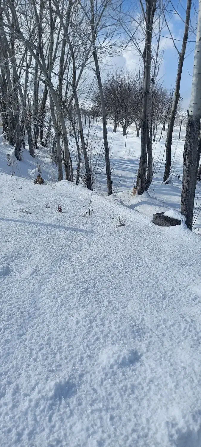 باغ|فروش خانه و ویلا|بهار, |دیوار