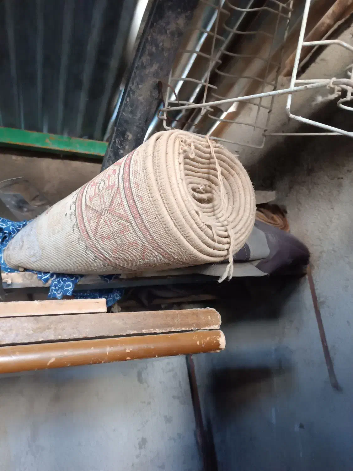 فروش گلیم|گلیم، جاجیم، گبه|تربت جام, جامرود|دیوار