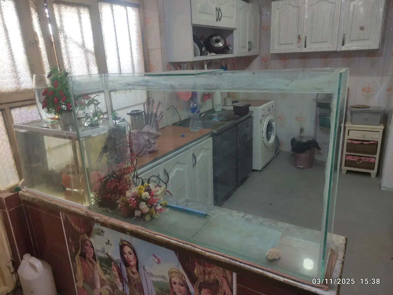 آکواریم و ماهی حراج متن بخون|ماهی|اهواز, دغاغله|دیوار