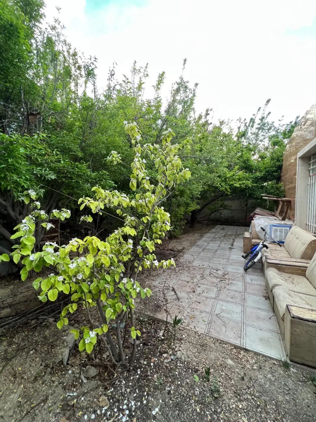 باغ مجوز دار با تمام مجوز رسمی از جهاد کشاورز|فروش خانه و ویلا|اصفهان, براآن شمالی|دیوار