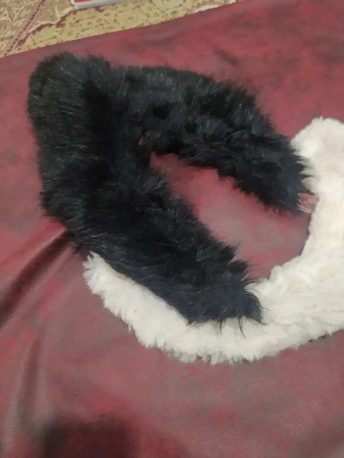 خز برای لباس|لباس|تبریز, |دیوار