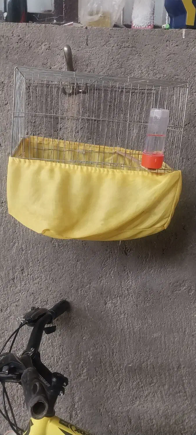 قفس پرنده|لوازم جانبی حیوانات|نوبران, |دیوار