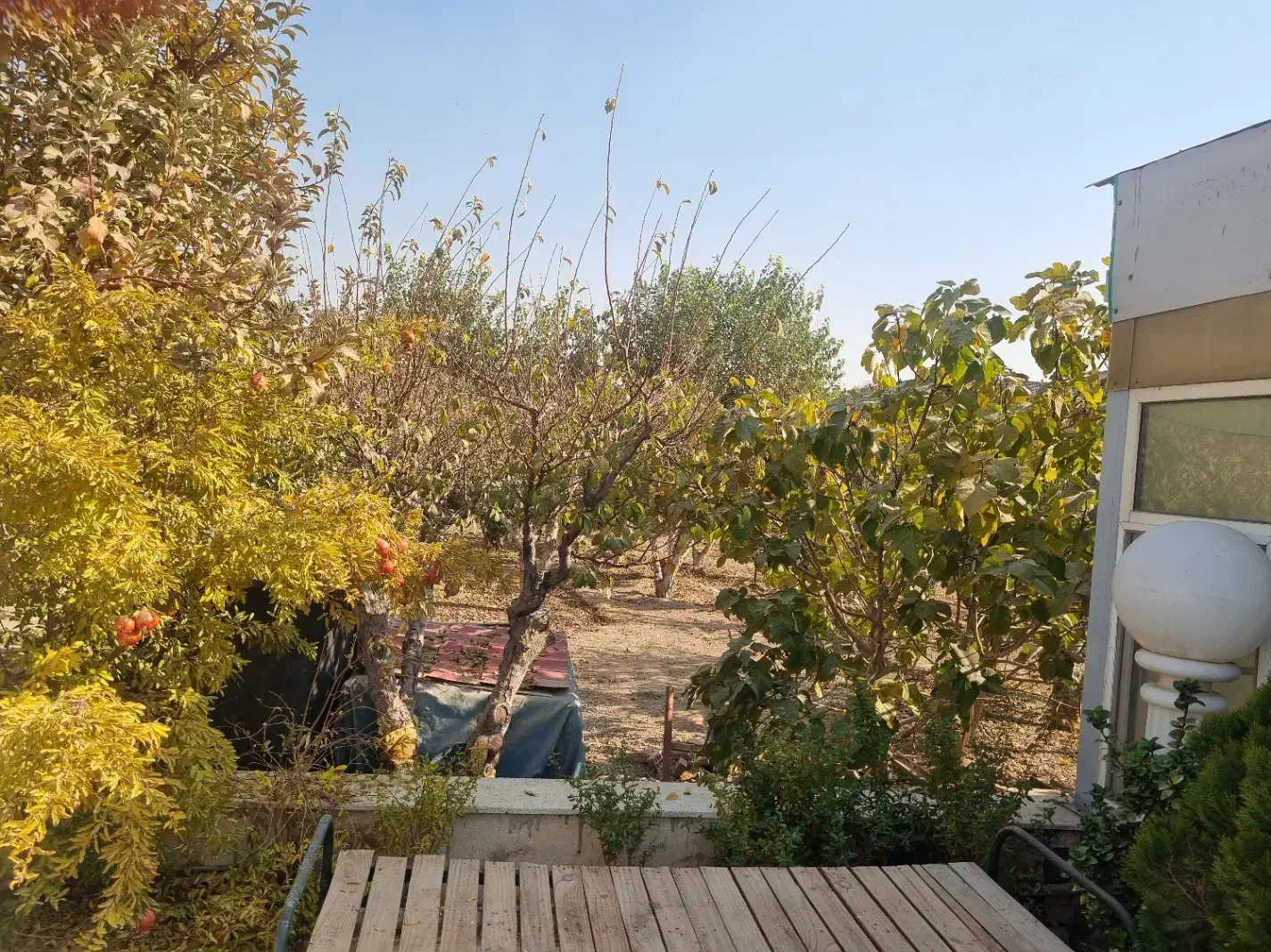 سرایداری باغ ویلا باغ ویلا|استخدام سرایداری و نظافت|چهاردانگه (تهران), |دیوار