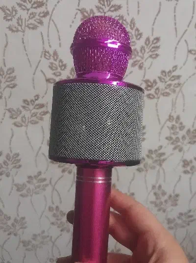 میکروفون|صوتی و تصویری|علیآباد کتول, |دیوار